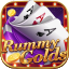 rummy perfect 51 bonus download icon