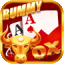 rummy l icon