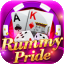 rummy playing cards icon